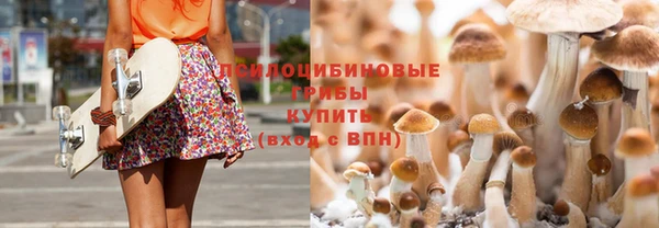 spice Заволжье