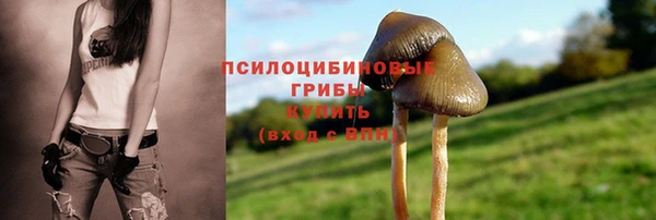 spice Заволжье