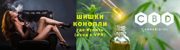 стаф Зеленодольск