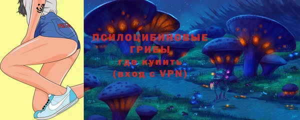 spice Заволжье