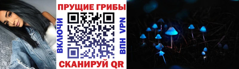 Купить  Юхнов  Псилоцибиновые грибы мицелий 